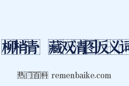 柳梢青·藏双清图反义词是什么意思的图片